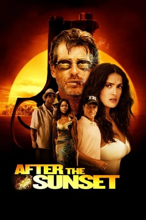 After The Sunset (2004) Hindi Dual Audio 720p BluRay [780MB]