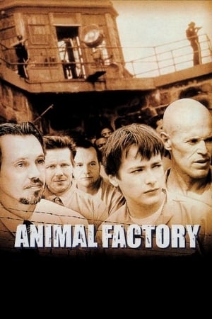 Animal Factory (2000) Hindi Dual Audio 720p BluRay [950MB]