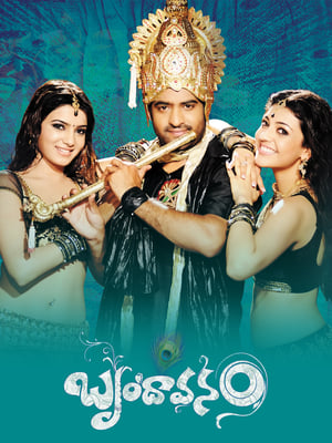 Brindavanam (The Super Khiladi) (2010) (Hindi – Telugu) Dual Audio 480p UnCut HDRip 600MB