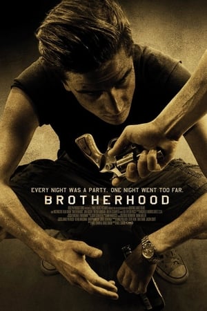 Brotherhood (2010) Hindi Dual Audio HDRip 720p – 480p