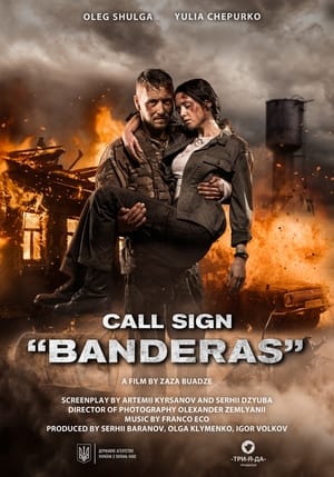 Call Sign Banderas (2018) Hindi Dual Audio HDRip 720p – 480p