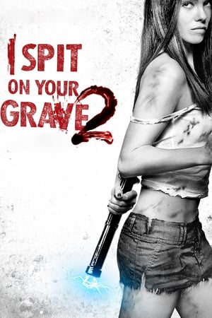 I Spit on Your Grave 2 (2013) Hindi Dual Audio HDRip 720p – 480p