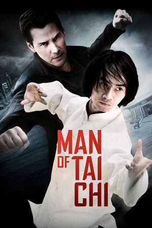 Man of Tai Chi (2013) Hindi Dual Audio HDRip 720p – 480p