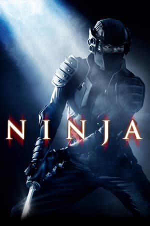 Ninja (2009) Hindi Dual Audio HDRip 720p – 480p