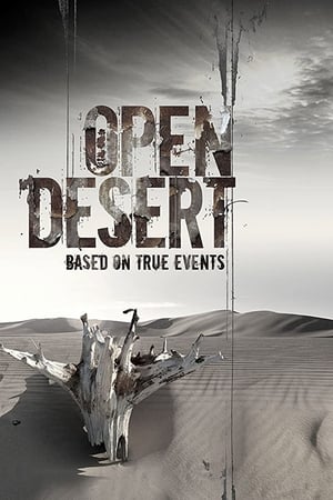Open Desert (2013) Hindi Dual Audio HDRip 720p – 480p