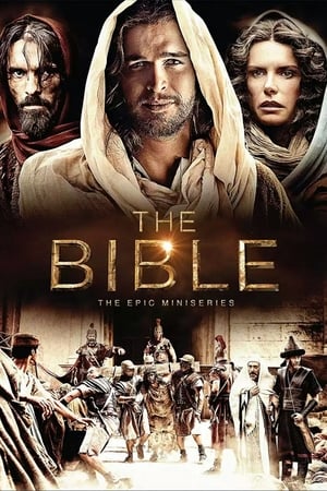 The Bible 2013 S01E05 (Hindi) Dubbed 720p BRRip [250MB]