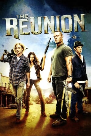 The Reunion (2011) Hindi Dual Audio 480p HDRip 300MB