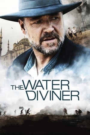 The Water Diviner (2014) Hindi Dual Audio 480p BluRay 350MB