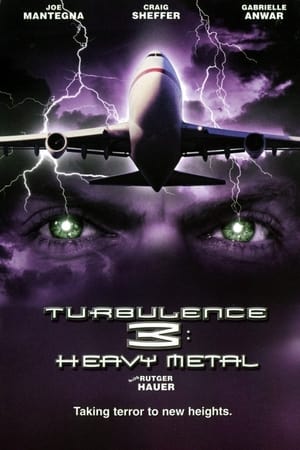 Turbulence 3 Heavy Metal 2001 Hindi Dual Audio 480p Web-DL 300MB
