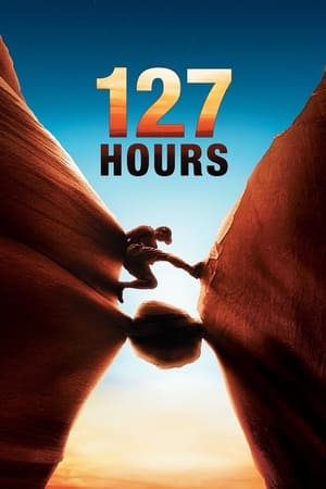 127 Hours (2010) Hindi Dual Audio 720p BluRay [950MB]
