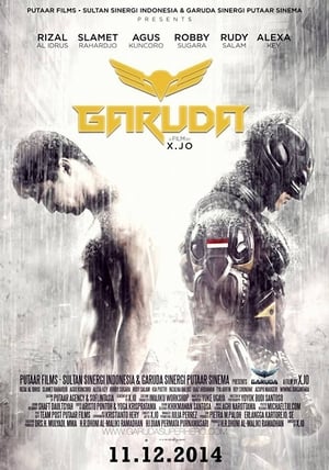 Garuda Superhero (2015) Hindi Dubbed 480p HDRip 300MB