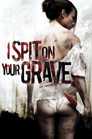 I Spit on Your Grave 2010 Hindi Dual Audio 720p BluRay [1.1GB]