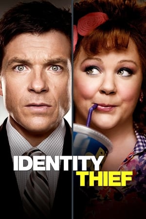 Identity Thief (2013) Hindi Dual Audio 480p BluRay 350MB
