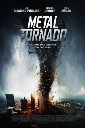 Metal Tornado 2011 Hindi Dual Audio 480p BluRay 300MB