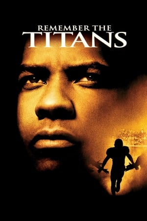 Remember the Titans (2000) Hindi Dual Audio 480p BluRay 400MB