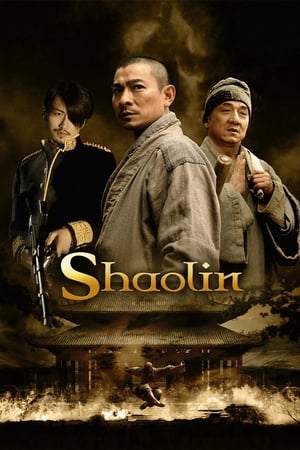 Shaolin (2011) Hindi Dual Audio 480p BluRay 400MB