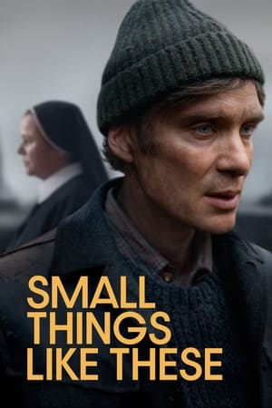 Small Things Like These 2024 Hindi Subbed CAMRip 1080p