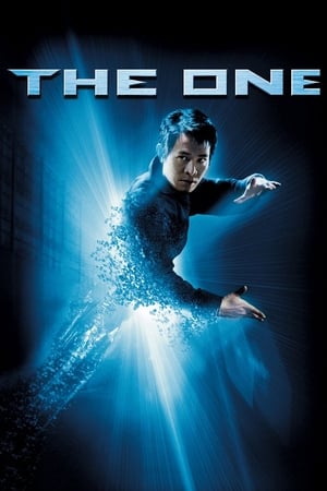 The One (2001) Hindi Dual Audio 720p BluRay [750MB]