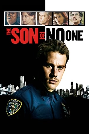 The Son of No One (2011) Hindi Dual Audio 480p BluRay 300MB