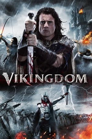 Vikingdom 2013 Hindi Dual Audio 720p BluRay [1GB]