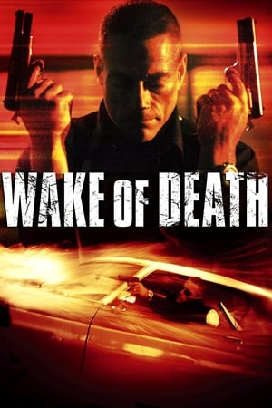 Wake of Death 2004 Hindi Dual Audio 480p BluRay 300MB